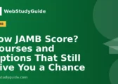 Low JAMB Score? Courses and Options That Still Give You a Chance