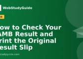 How to Check Your JAMB Result and Print the Original Result Slip