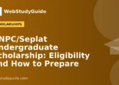 NNPC/Seplat Undergraduate Scholarship: Eligibility and How to Prepare