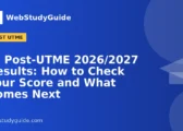 UI Post-UTME 2026/2027 Results: How to Check Your Score and What Comes Next